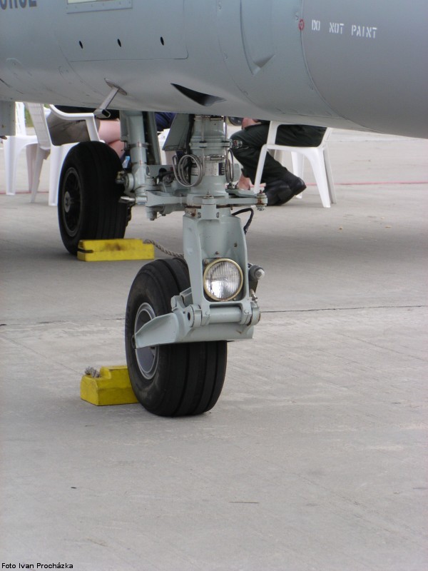 img00005.jpg